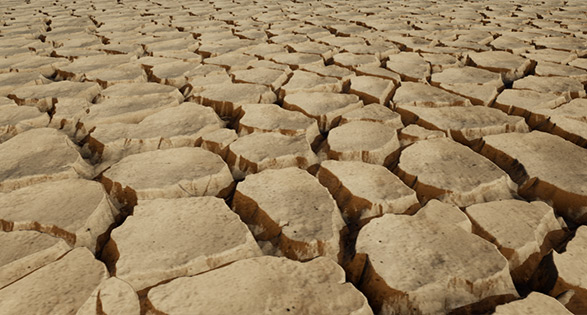cracked desert floor